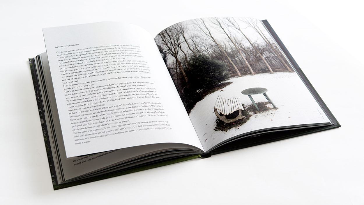 Elly de Waard > Vogelwater