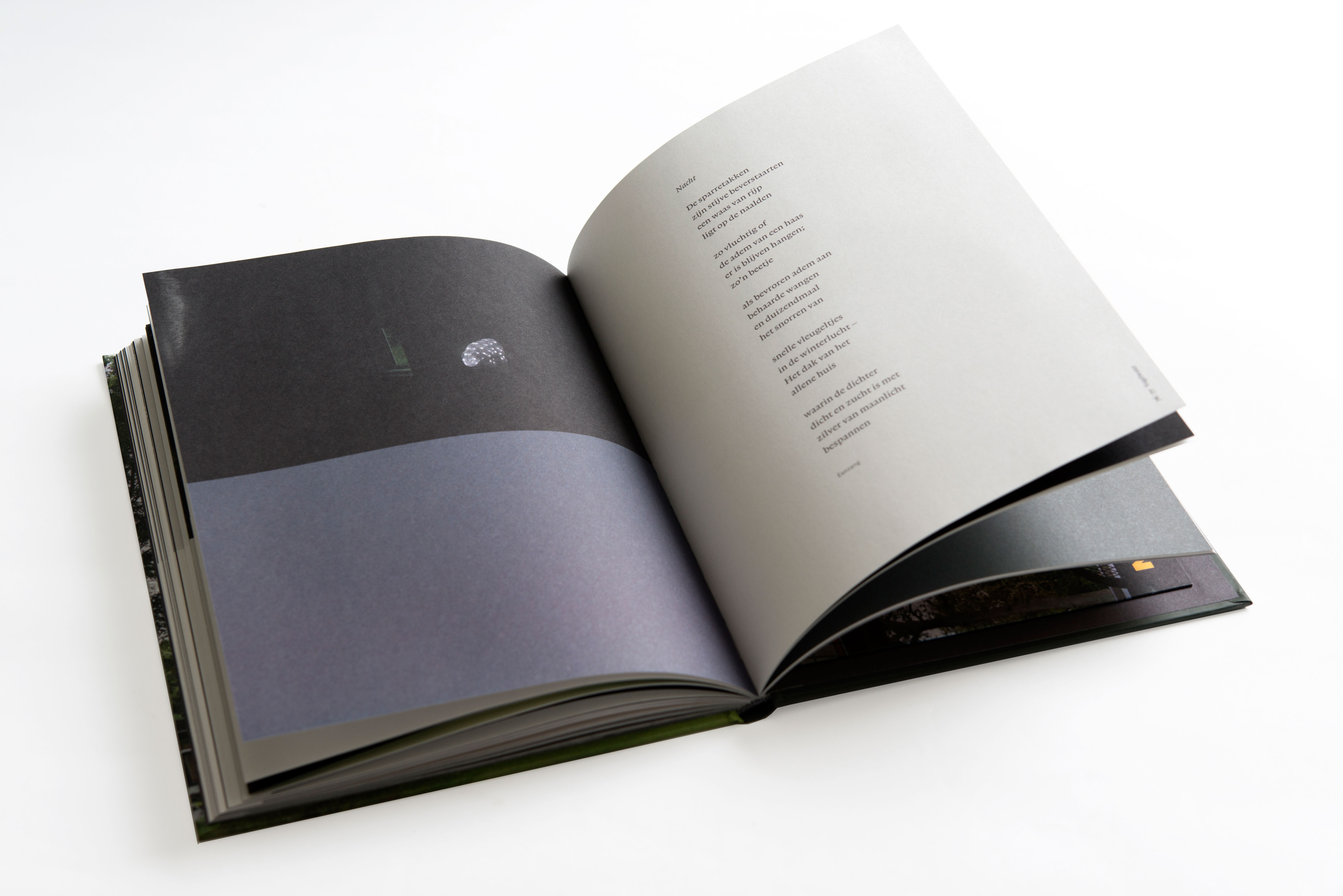 Elly de Waard > Vogelwater