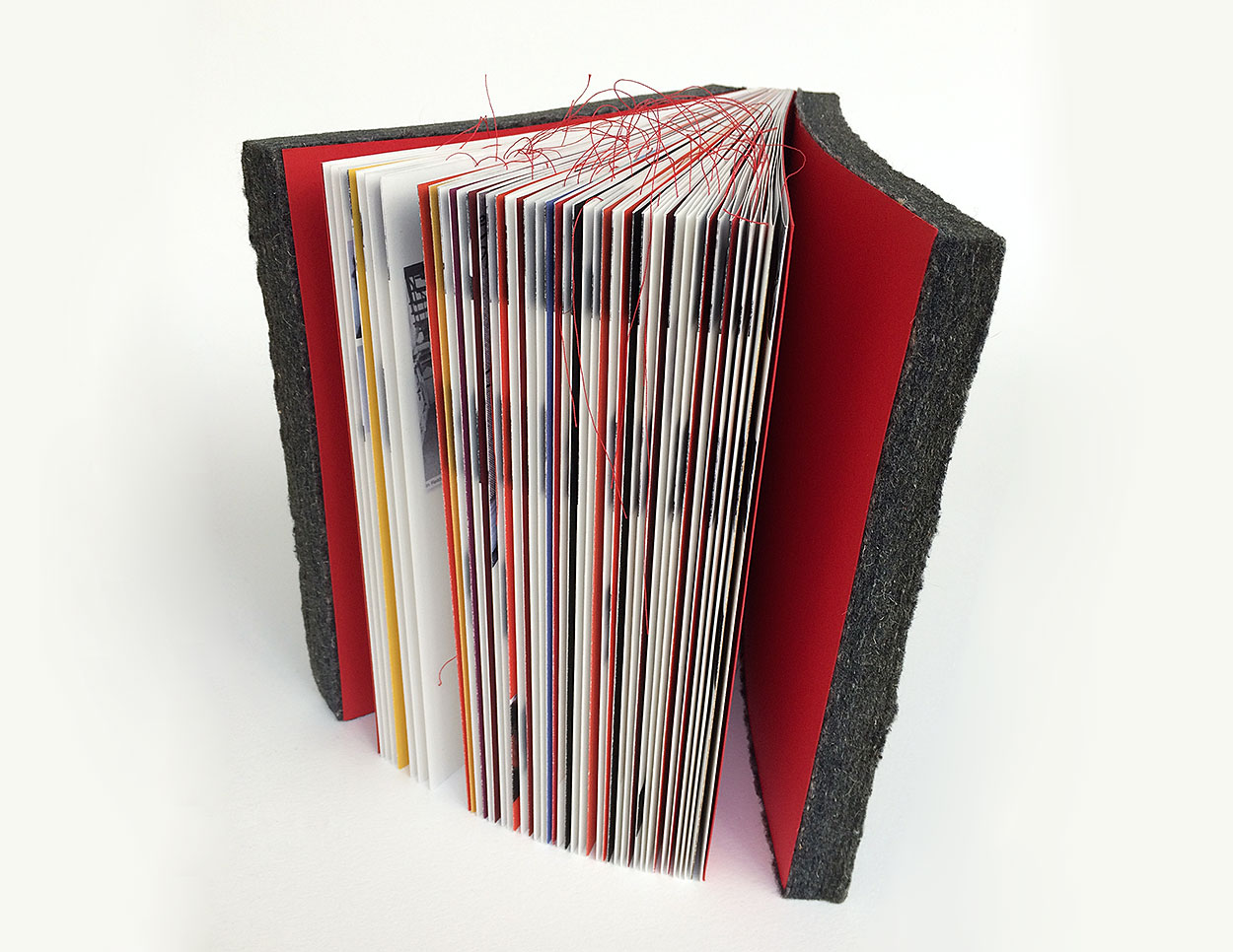 Eigen publicatie > Liber Amicorum voor Nienke Huizinga (boekenproducent)