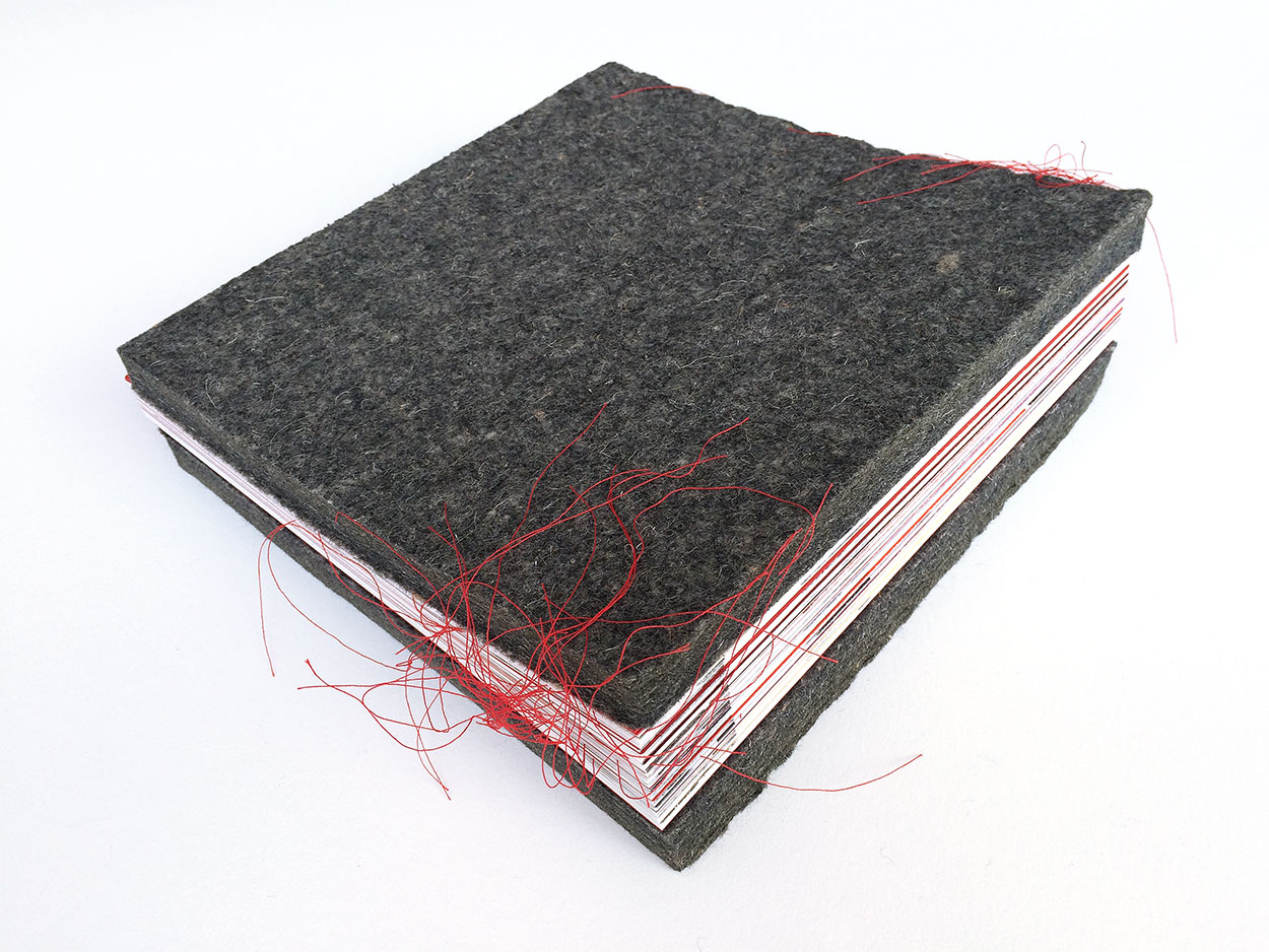 Eigen publicatie > Liber Amicorum voor Nienke Huizinga (boekenproducent)