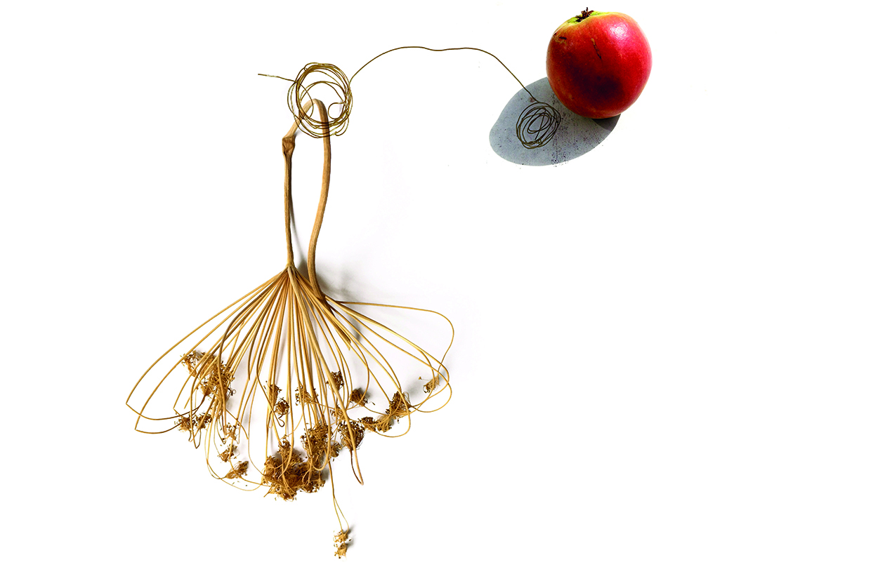 Objecten > In[te]gratie